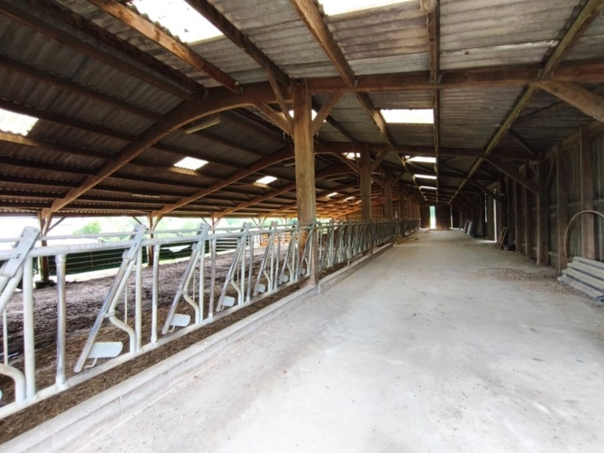 Photos 14 - Équestre - Propriete équestre ou ferme à vendre 8 pièces CHENIERS (23) Creuse 3h30 Paris 1h30 Limoges