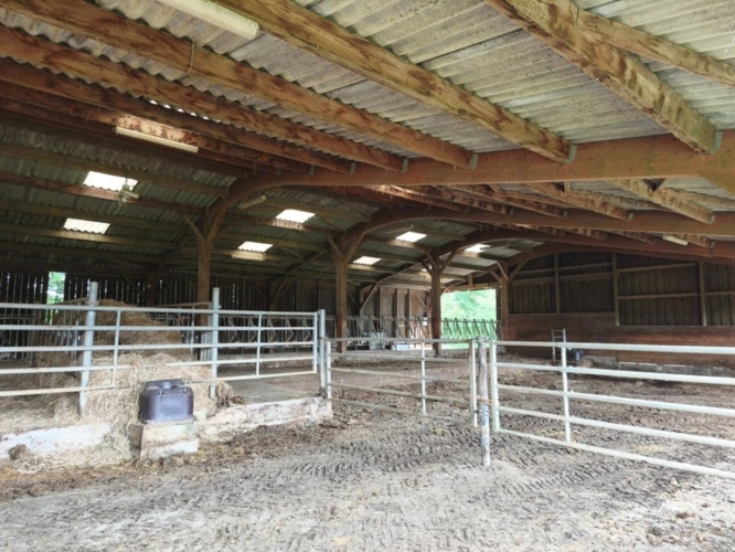 Photos 16 - Équestre - Propriete équestre ou ferme à vendre 8 pièces CHENIERS (23) Creuse 3h30 Paris 1h30 Limoges
