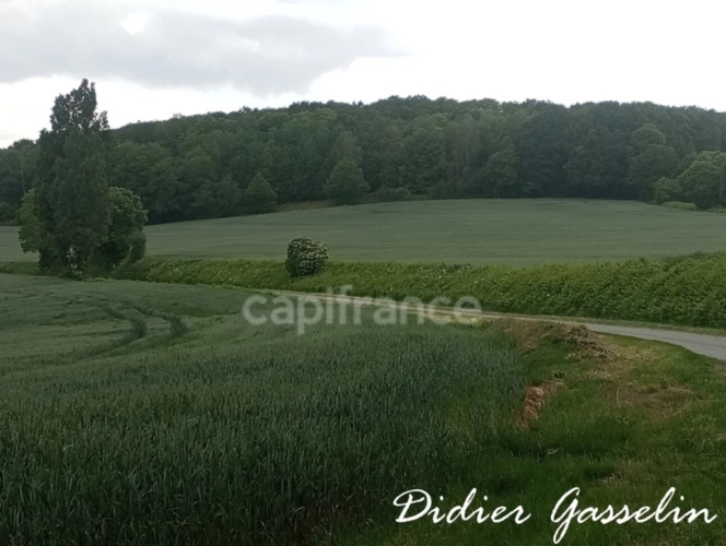 Photos 2 - Agricole - Terrain à vendre  BRUNELLES (28)