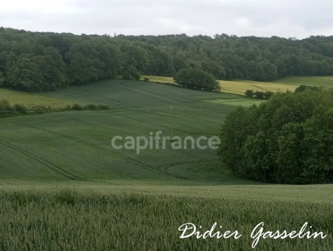Photos 3 - Agricole - Terrain à vendre  BRUNELLES (28)