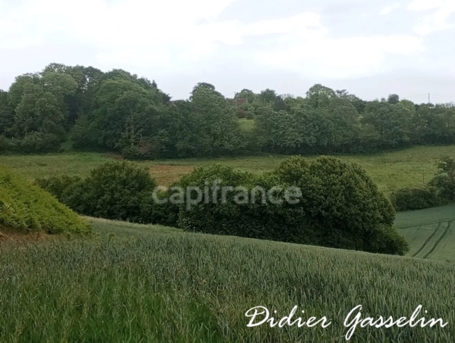 Photos 5 - Agricole - Terrain à vendre  BRUNELLES (28)