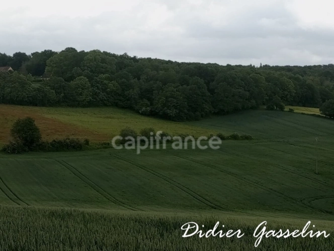 Photos 6 - Agricole - Terrain à vendre  BRUNELLES (28)