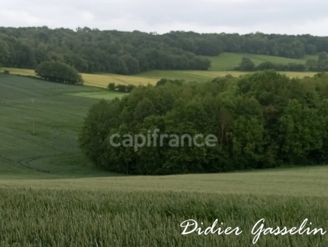 Photos 7 - Agricole - Terrain à vendre  BRUNELLES (28)