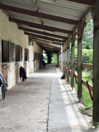 Photos 3 - Équestre - Située dans le Maine-et-Loire (49), à proximité de Saumur, ce