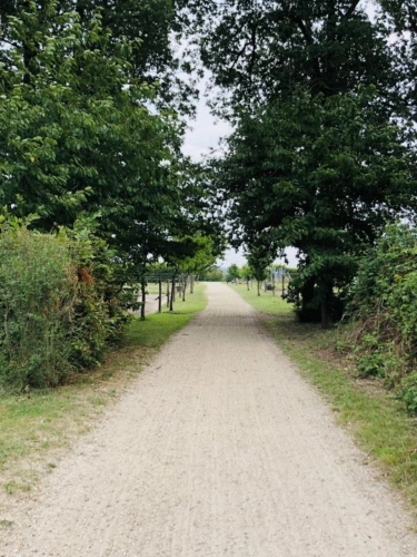 Photos 4 - Équestre - Située dans le Maine-et-Loire (49), à proximité de Saumur, ce