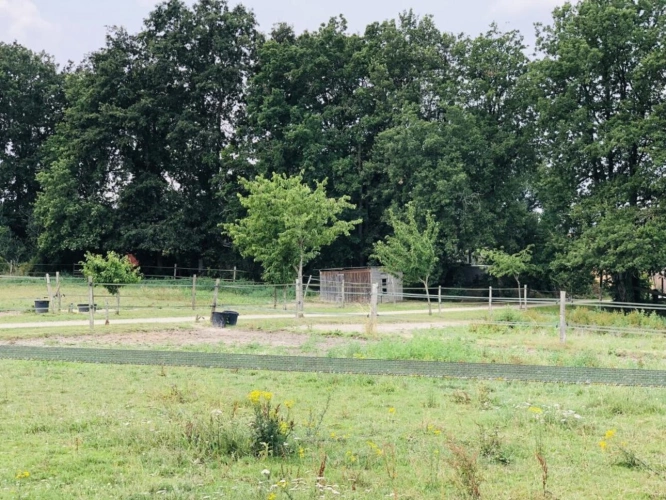 Photos 5 - Équestre - Située dans le Maine-et-Loire (49), à proximité de Saumur, ce