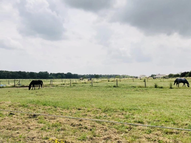 Photos 6 - Équestre - Située dans le Maine-et-Loire (49), à proximité de Saumur, ce