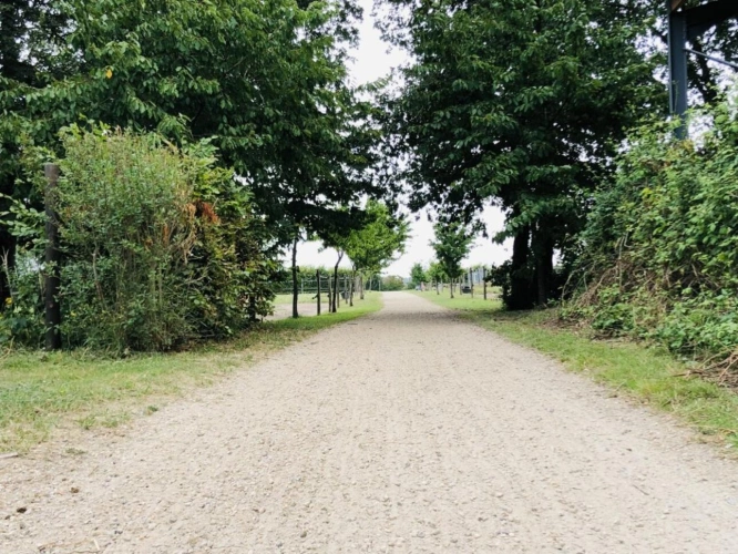 Photos 13 - Équestre - Située dans le Maine-et-Loire (49), à proximité de Saumur, ce