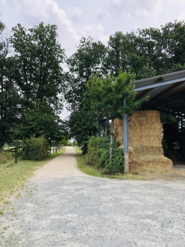 Photos 14 - Équestre - Située dans le Maine-et-Loire (49), à proximité de Saumur, ce
