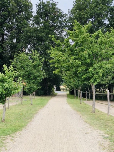 Photos 17 - Équestre - Située dans le Maine-et-Loire (49), à proximité de Saumur, ce