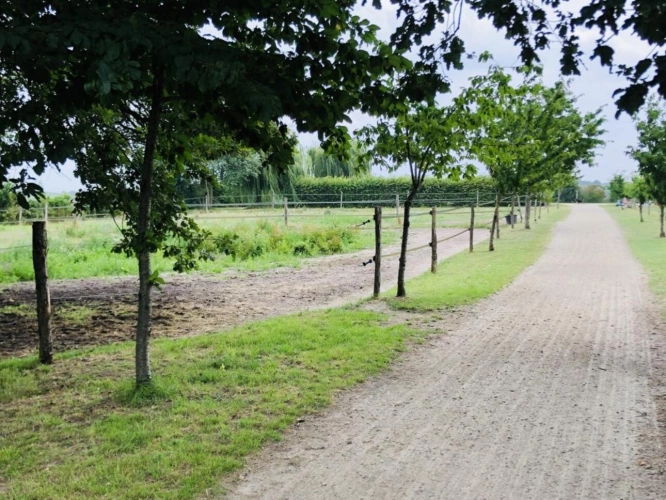 Photos 18 - Équestre - Située dans le Maine-et-Loire (49), à proximité de Saumur, ce
