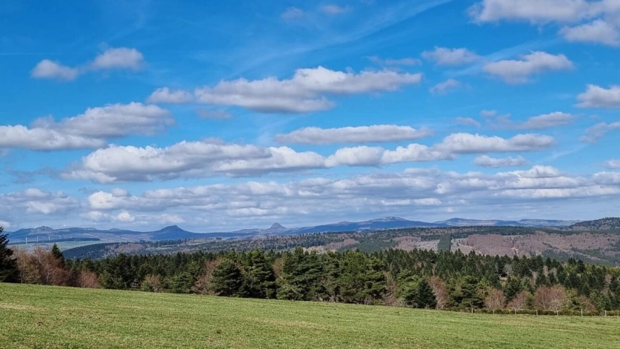 Photos 5 - Rurale - Propriété équestre sur 16 ha en montagne ardéchoise ?