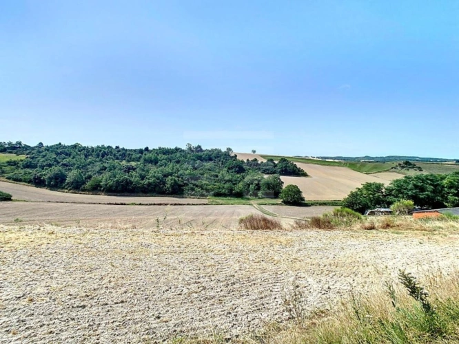 Photos 1 - Agricole - Terrain agricole