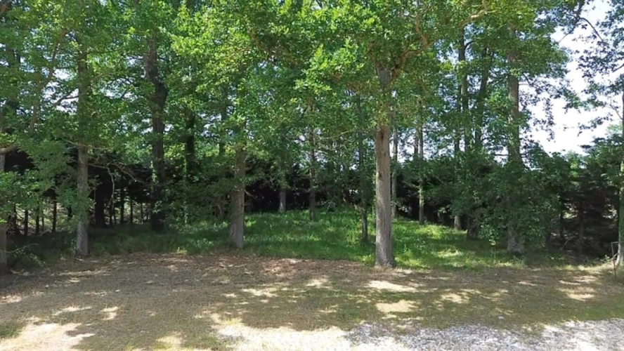 Photos 9 - Rurale - Terrain de loisirs à vendre  CHOUPPES (86)