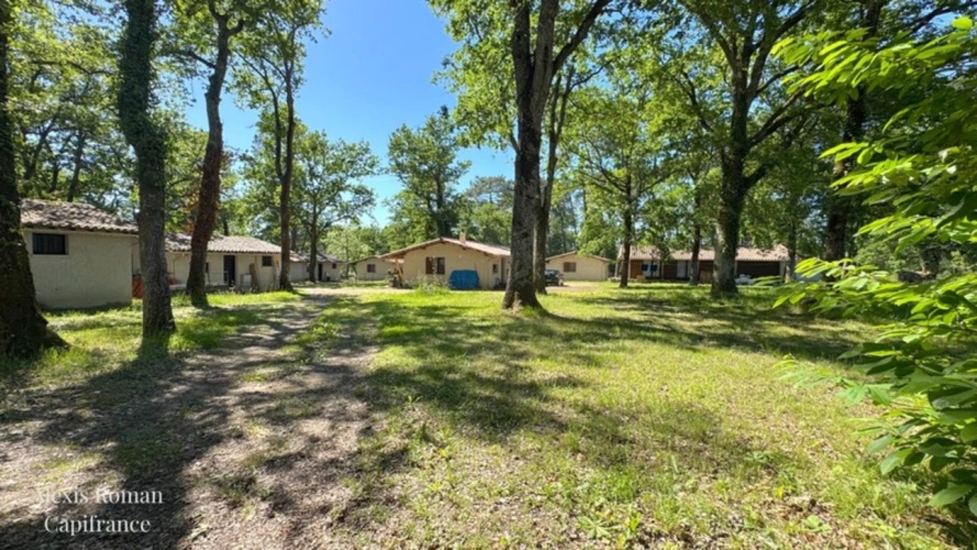 Photos 13 - Prestige - Domaine nature de 19 gîtes sur plus de 10 hectares – Un lieu rare à réinventer