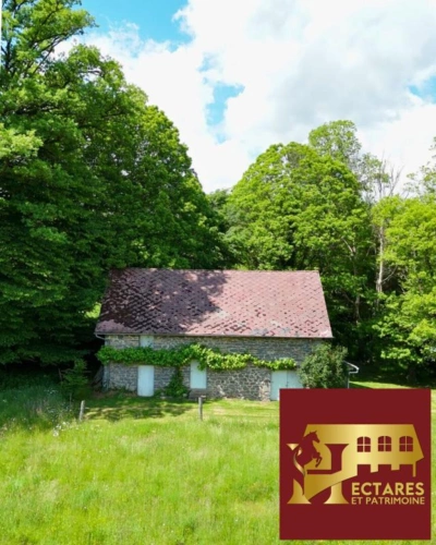 Photos 3 - Équestre - Propriété clé en main avec 6,2 ha et rivière