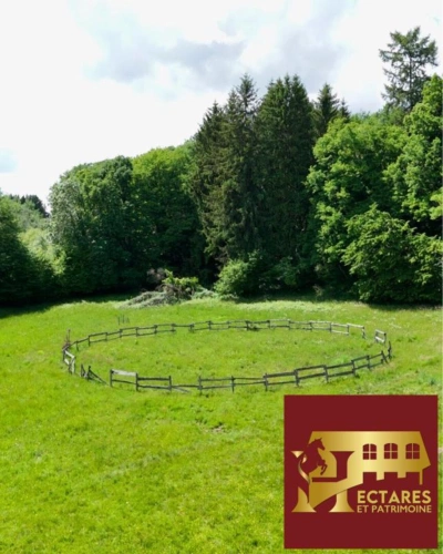 Photos 4 - Équestre - Propriété clé en main avec 6,2 ha et rivière