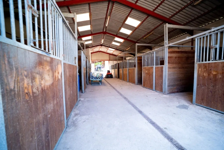Photos 4 - Équestre - Propriété équestre aux portes de Mâcon