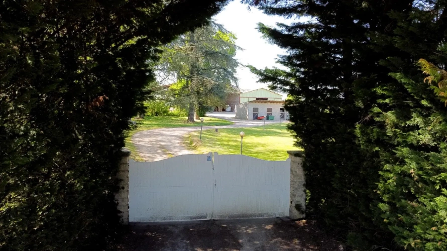 Photos 8 - Équestre - Propriété équestre aux portes de Mâcon