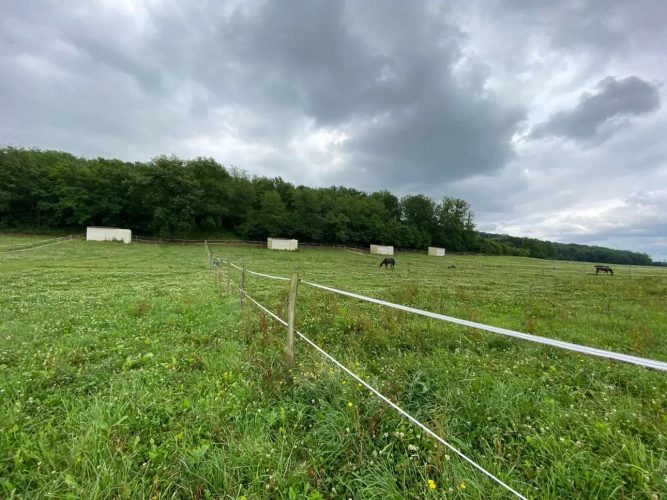 Photos 3 - Équestre - vends élevage canin et possibilités équestres !!!