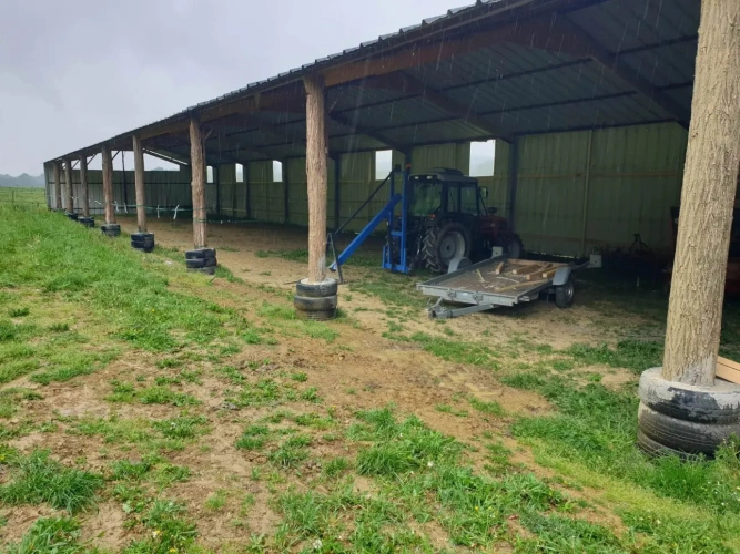 Photos 10 - Équestre - vends élevage canin et possibilités équestres !!!