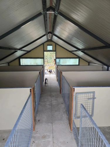 Photos 11 - Équestre - vends élevage canin et possibilités équestres !!!