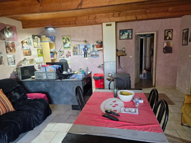 Photos 14 - Équestre - vends élevage canin et possibilités équestres !!!