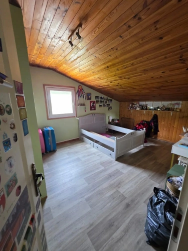 Photos 18 - Équestre - vends élevage canin et possibilités équestres !!!