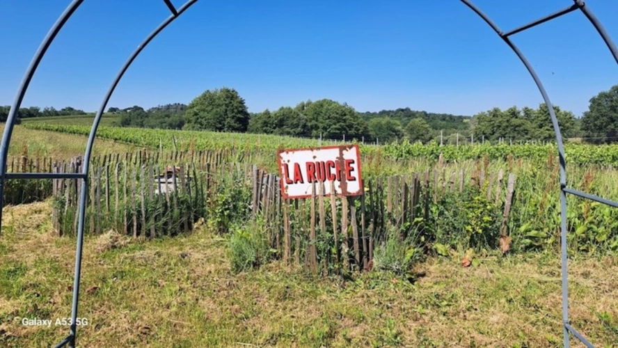 Photos 52 - Prestige - Propriété en "longère" de charme