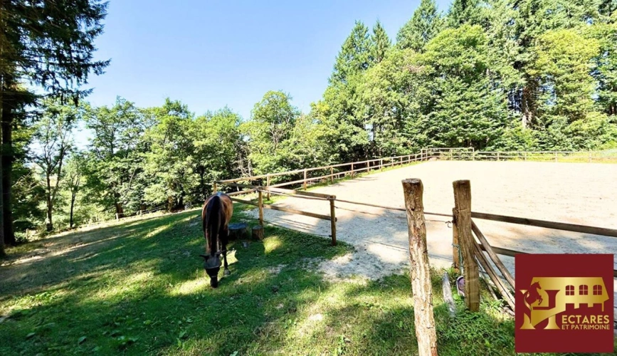 Photos 12 - Prestige - Propriété 6,4 hectares vue dominante