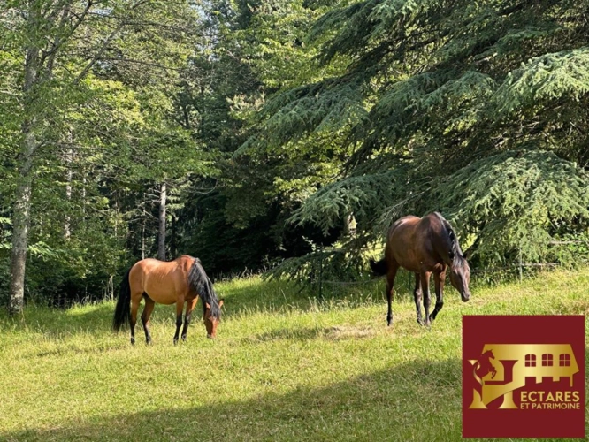 Photos 16 - Prestige - Propriété 6,4 hectares vue dominante
