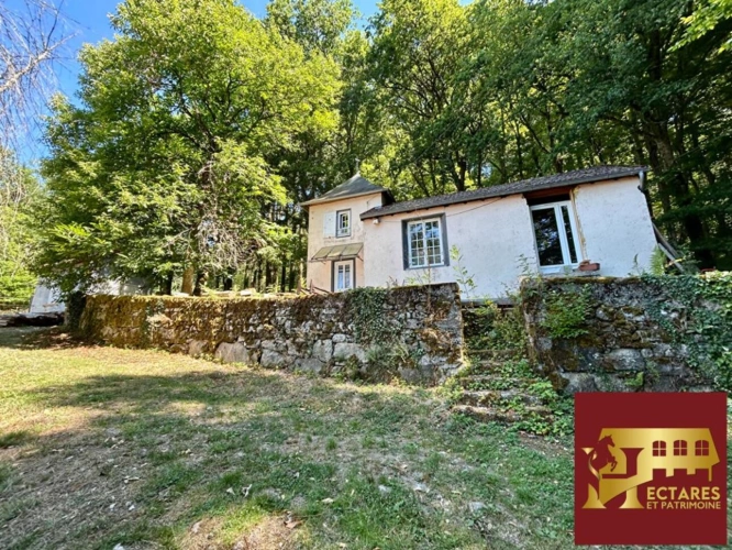 Photos 18 - Prestige - Propriété 6,4 hectares vue dominante