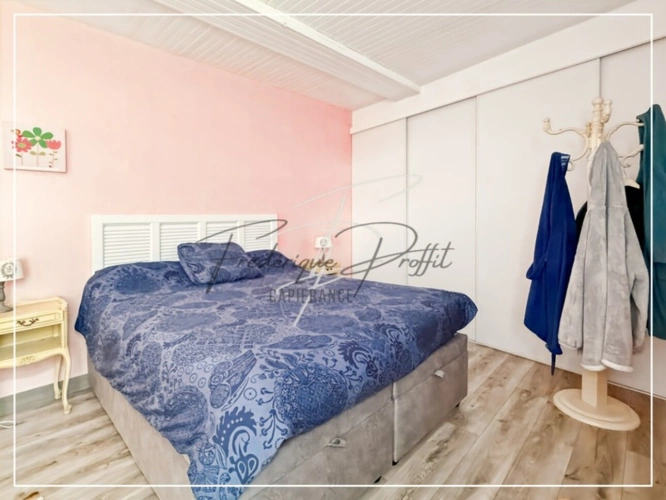 Photos 11 - Prestige - Propriete à vendre possibilité activité professionelle et chambres d'hotes