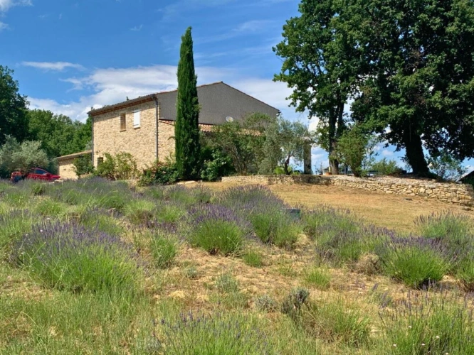 Photos 20 - Agricultural - House 240m2