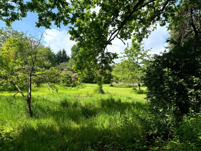 Photos 9 - Prestige - Exclusivité – Propriété de caractère avec étang, dans un écrin naturel préservé du Morvan - proche de SAULIEU (21)