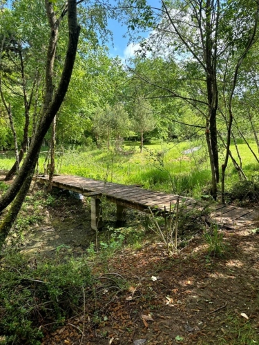 Photos 10 - Prestige - Exclusivité – Propriété de caractère avec étang, dans un écrin naturel préservé du Morvan - proche de SAULIEU (21)