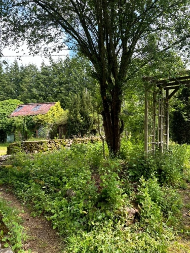Photos 11 - Prestige - Exclusivité – Propriété de caractère avec étang, dans un écrin naturel préservé du Morvan - proche de SAULIEU (21)