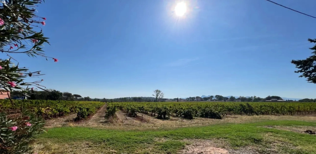 Photos 3 - Viticole - Domaine viticole en Provence avec 3 habitations  18 ha fort potentiel