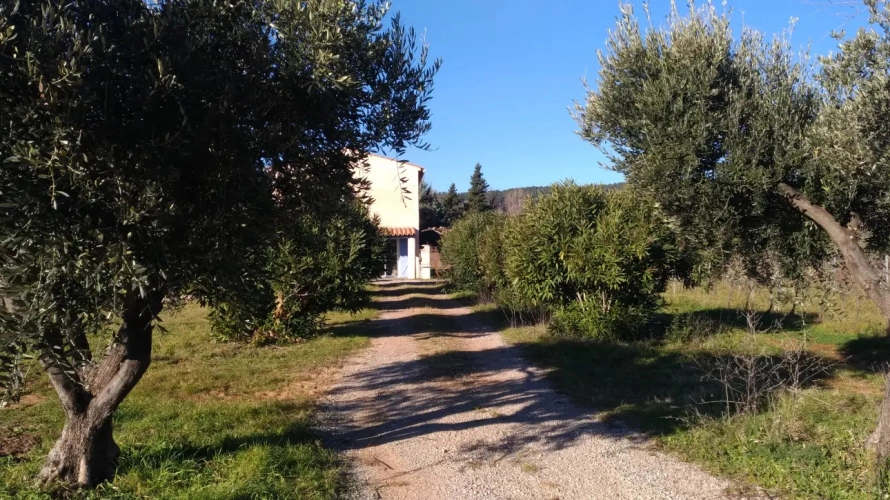 Photos 4 - Viticole - Domaine viticole en Provence avec 3 habitations  18 ha fort potentiel