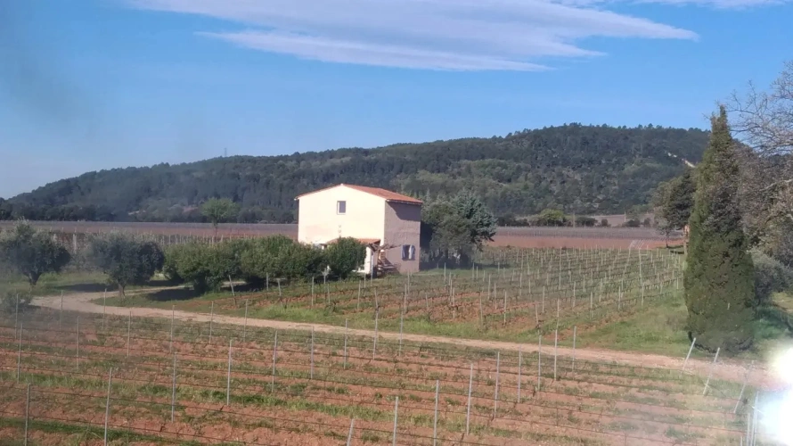 Photos 13 - Viticole - Domaine viticole en Provence avec 3 habitations  18 ha fort potentiel