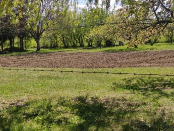Photos 7 - Rurale - Maison avec terrain attenant