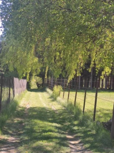 Photos 9 - Rurale - Maison avec terrain attenant