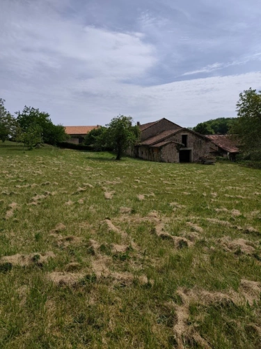 Photos 14 - Rurale - Grange à vendre 1 pièces VARAIGNES (24)