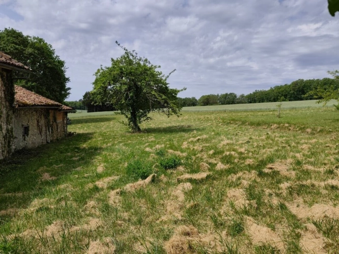 Photos 16 - Rurale - Grange à vendre 1 pièces VARAIGNES (24)
