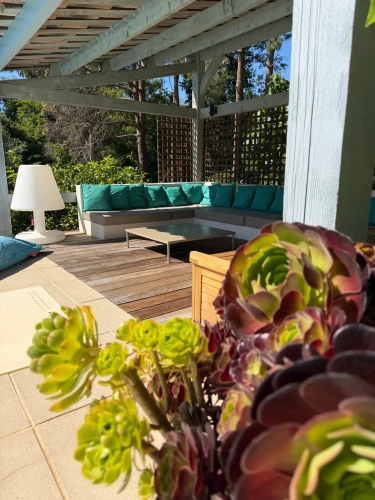 Photos 3 - Touristique - Propriété de caractère avec activité d’accueil – Balagne, proche Calvi