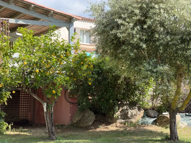 Photos 5 - Touristique - Propriété de caractère avec activité d’accueil – Balagne, proche Calvi