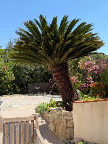 Photos 8 - Touristique - Propriété de caractère avec activité d’accueil – Balagne, proche Calvi
