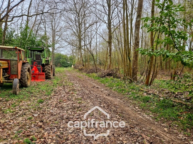 Photos 5 - Rurale - Là où l’eau, la pierre et la forêt se rejoignent, un domaine d’exception s’offre à vous : 9 hectares de nature préservée et de mémoire vivante, à transmettre et à faire revivre