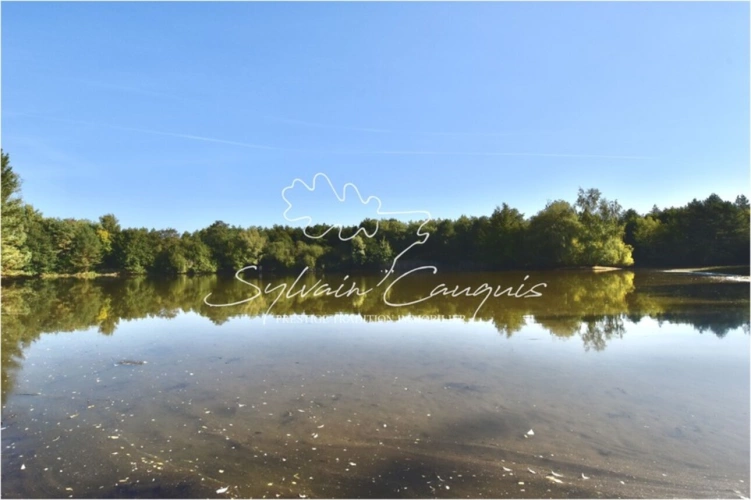Photos 3 - Forestière - Propriété de Pêche ou d'Agrément de 5 hectares en Forêt d'Orleans