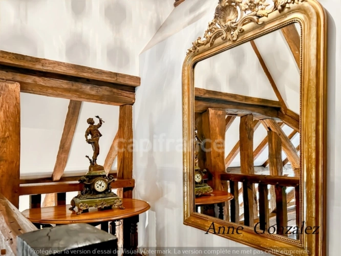 Photos 12 - Prestige - Propriete à vendre 9 pièces ARDON (45)